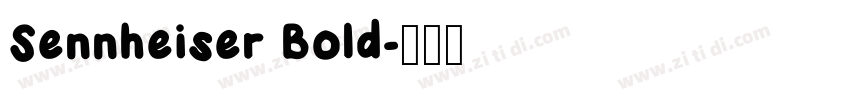 Sennheiser Bold字体转换